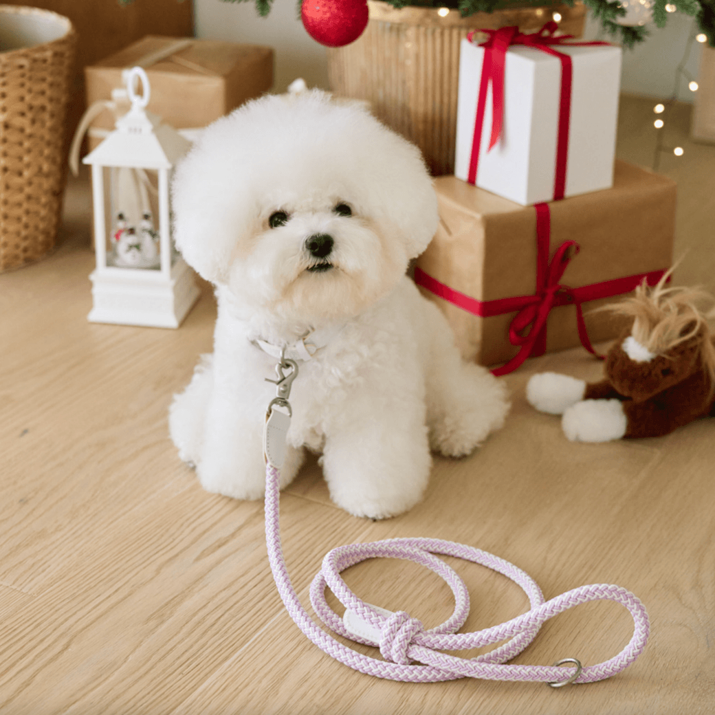 Stroll Rope Collar & Leash New Lilac