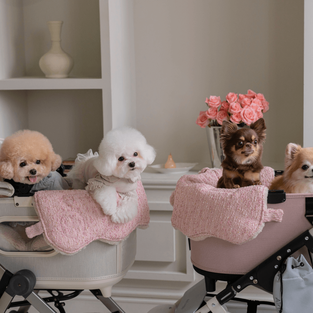 【予約】Couture Buggy Blanket