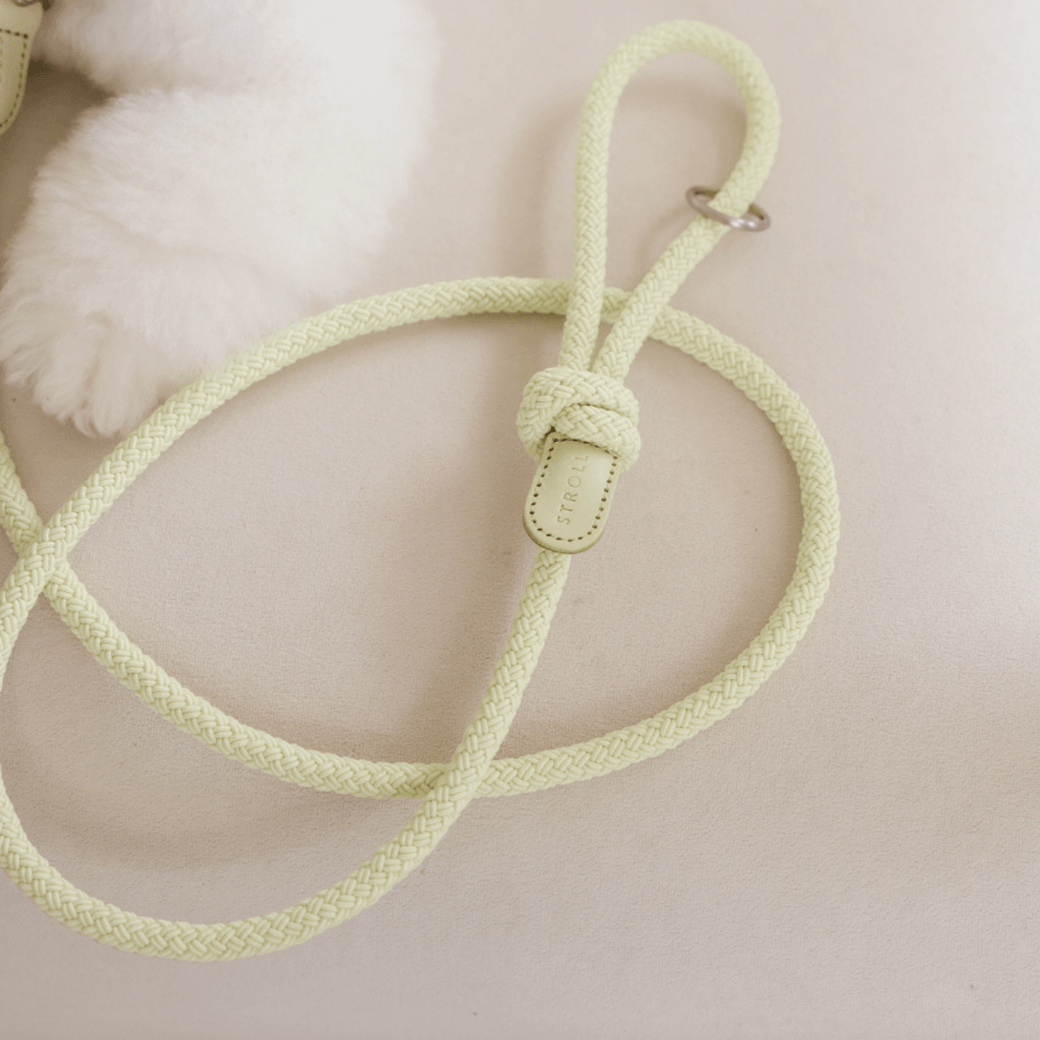 Rope Leash (Pistachio)