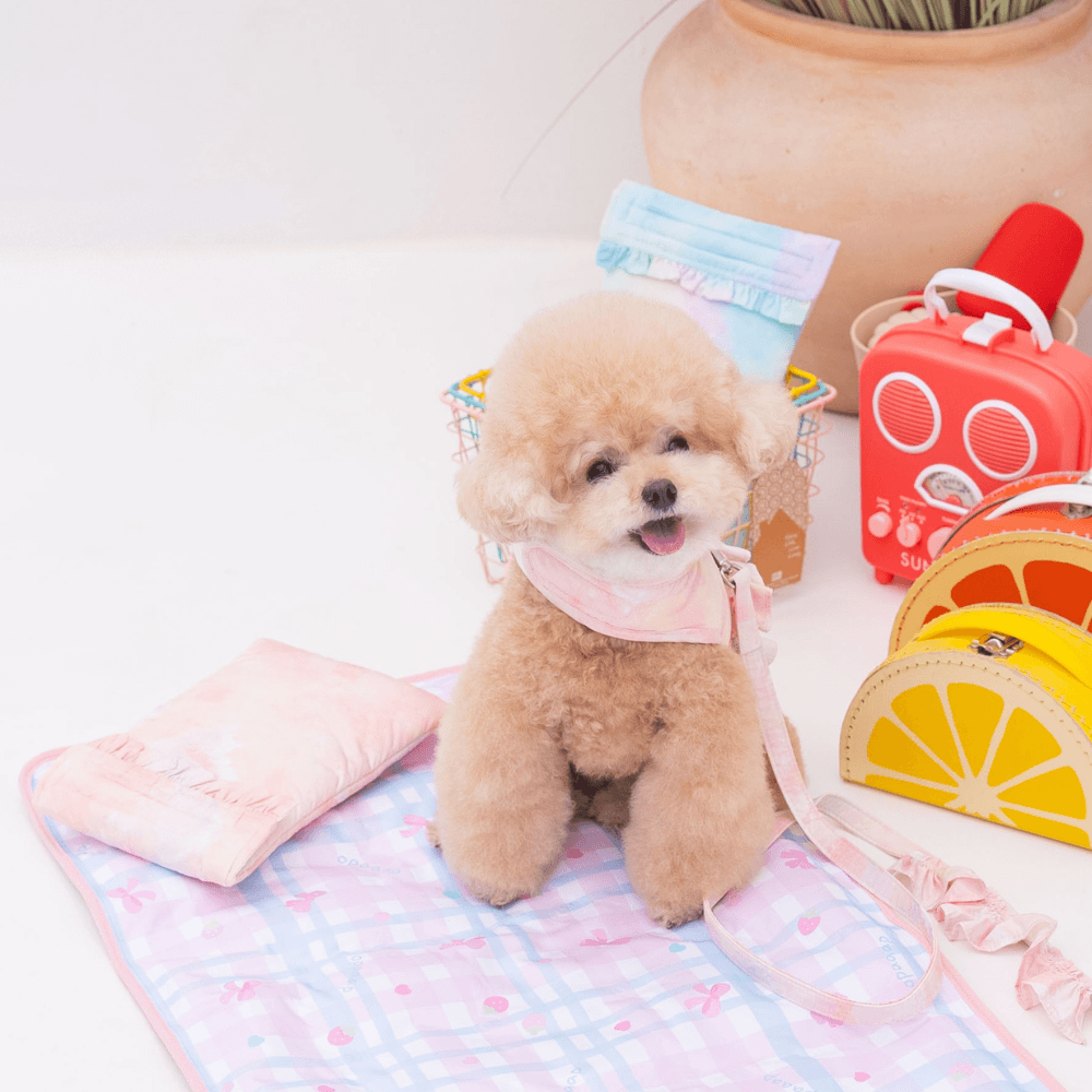 Ice Water Pouch 保冷剤付（2COLOR）
