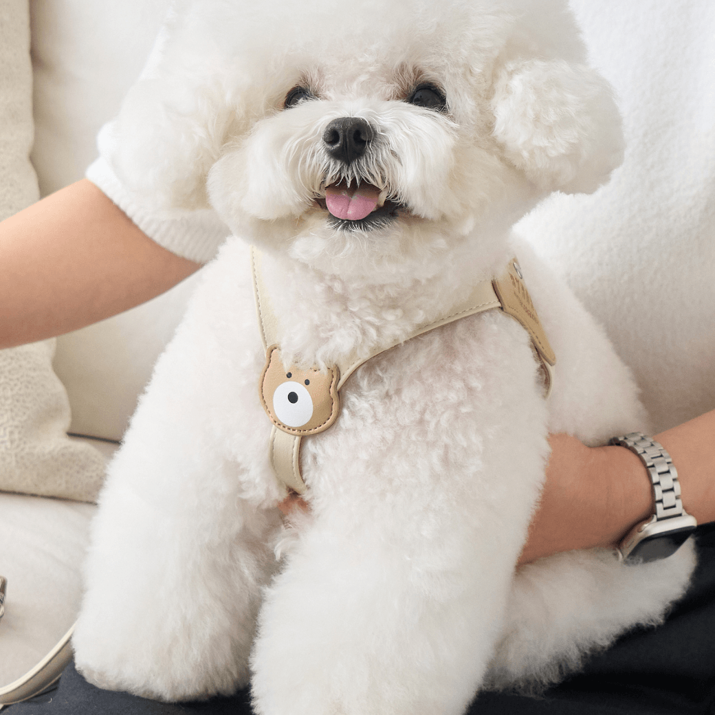 BEAR HARNESS（Ivory）