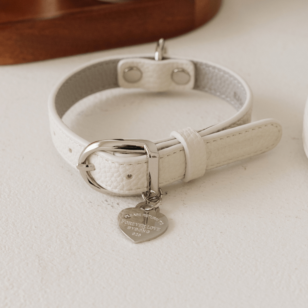 DELIGHT COLLAR（クリーム）