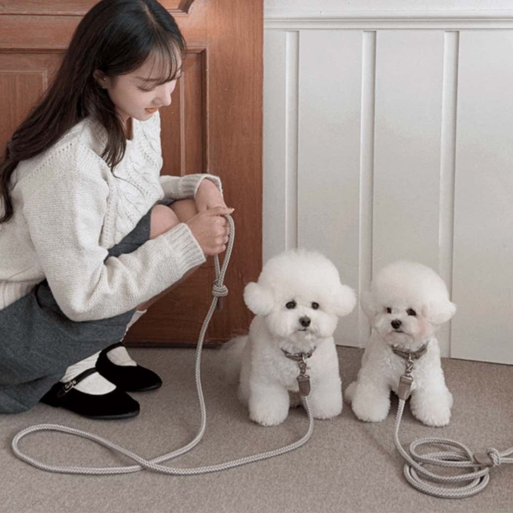 Rope Leash (Ash Grey)