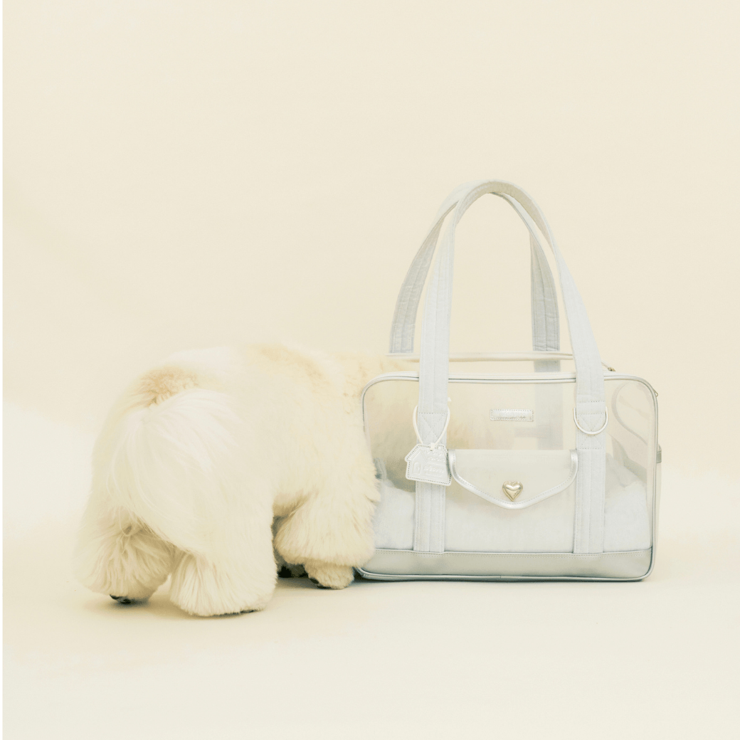 Mesh Ballon Bag （Silver & Blue）
