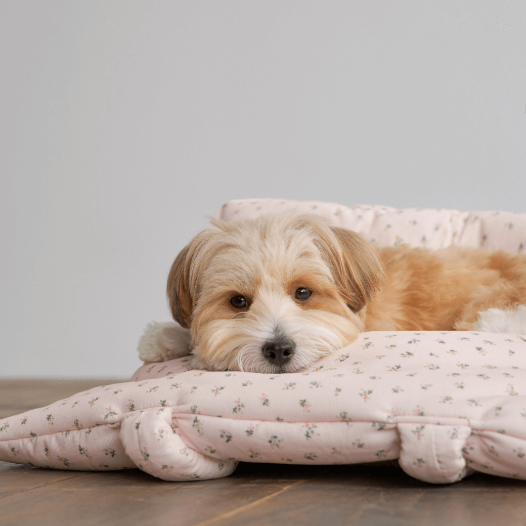 APERTY wide bag baby pink