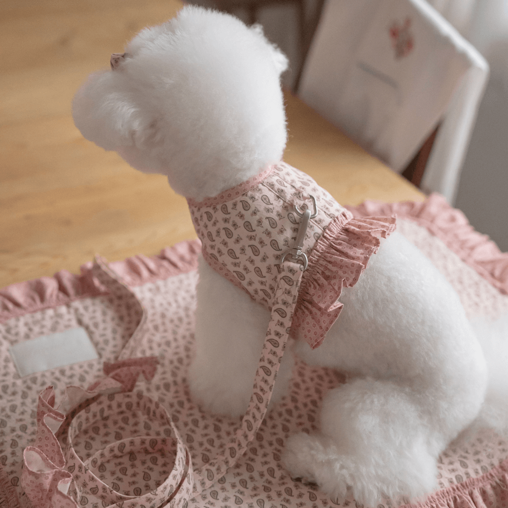Flâneur Harness (Rouge)