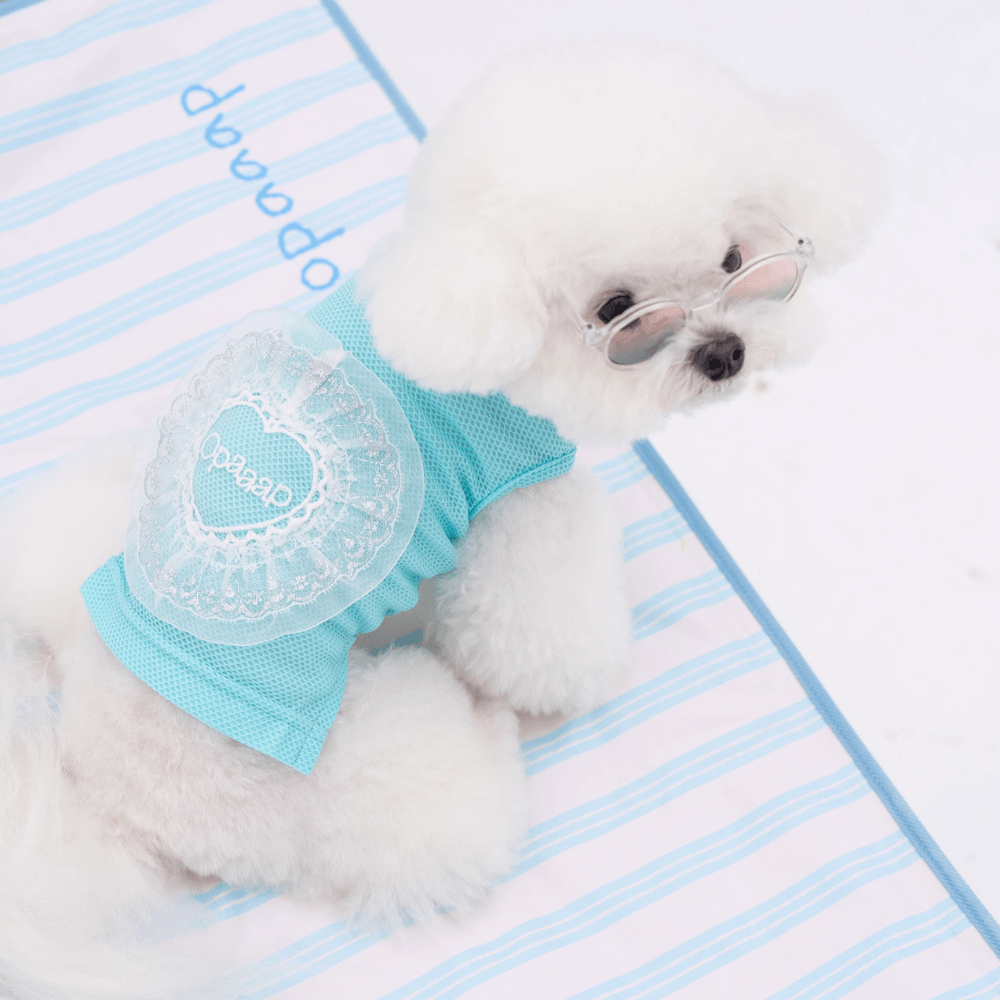 Heart COOL Protect T-shirt（Aqua Ice）