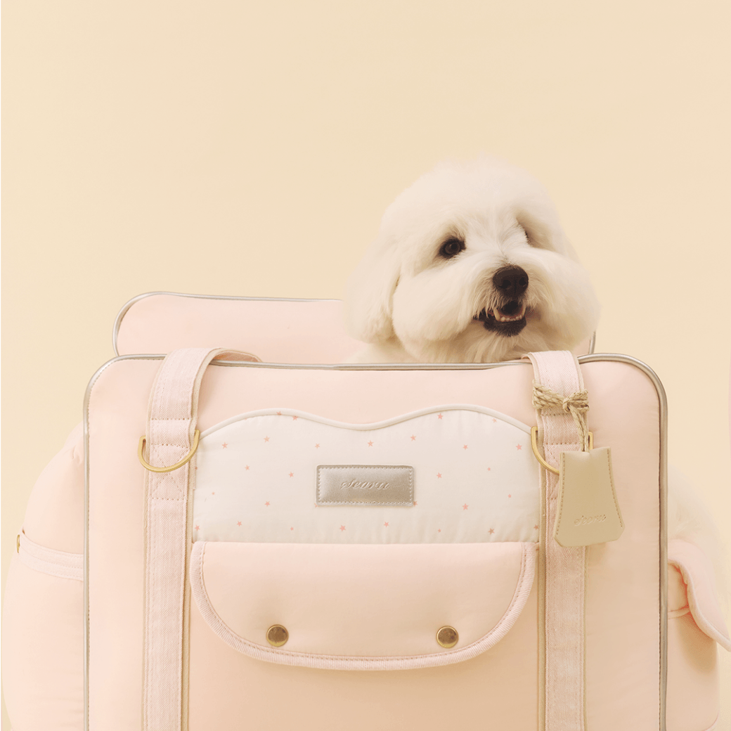 Cruise Car Seat (Pink)
