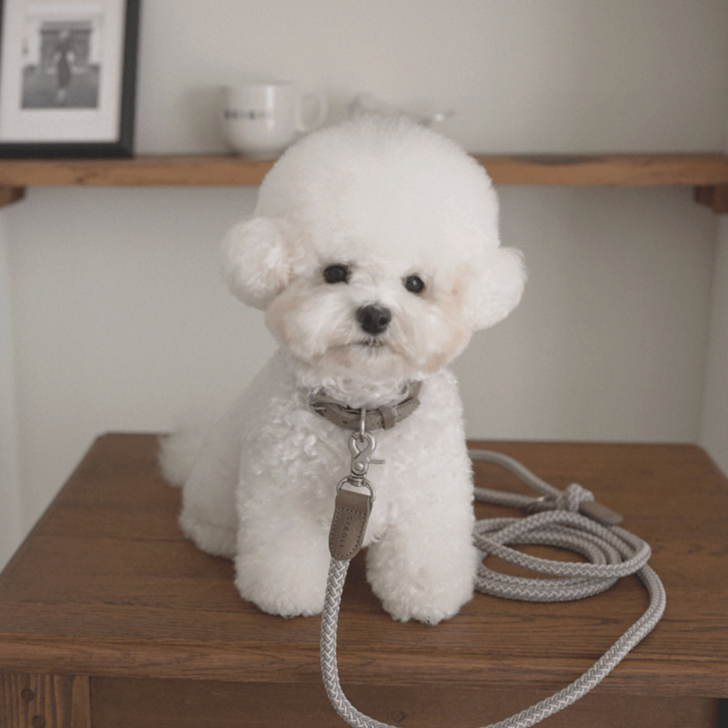 Rope Leash (Ash Grey)