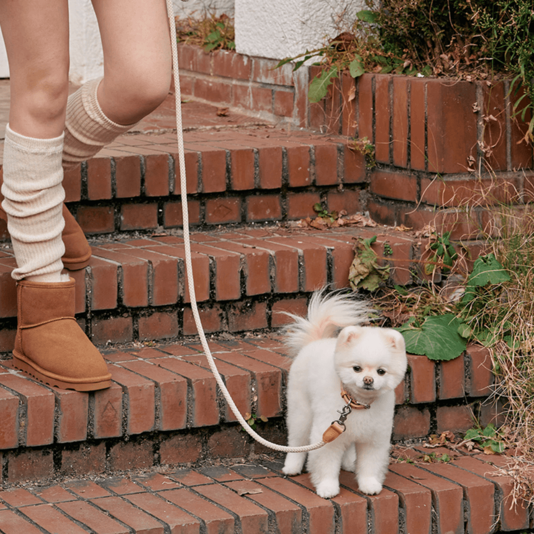 Rope Leash (Beige)