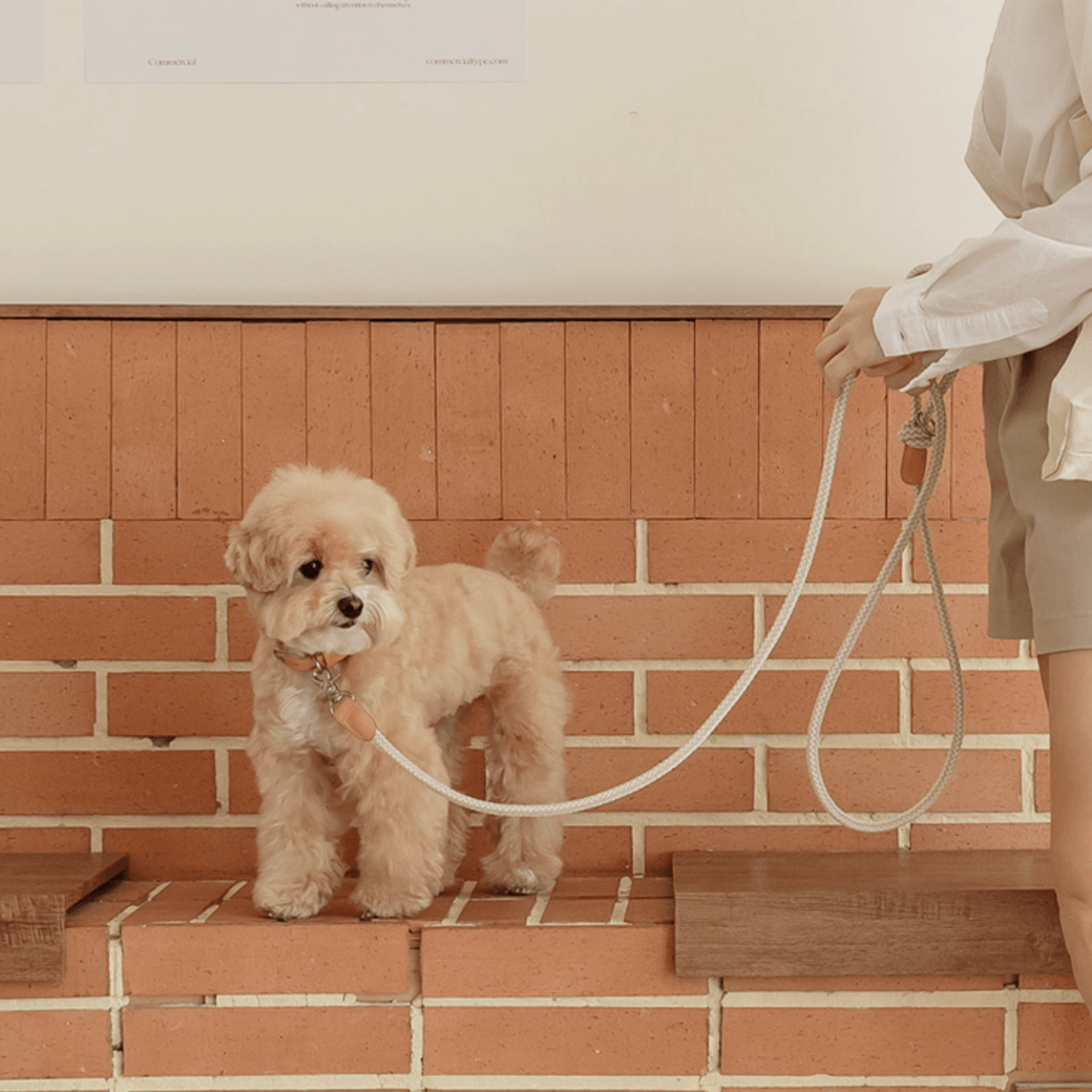 Rope Leash (Oatmeal)