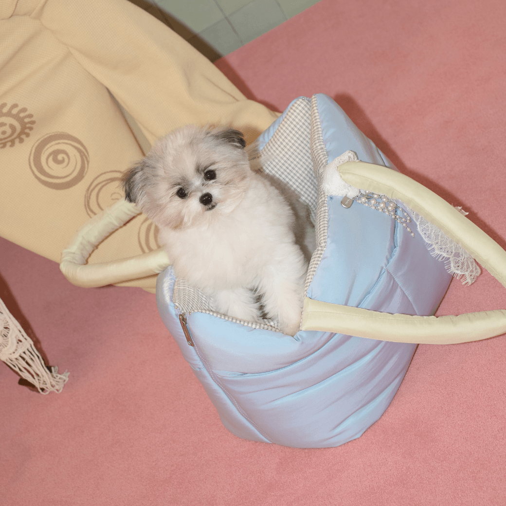 wide bag - green & blue（APERTY）4/10（金）21:00〜予約販売開始