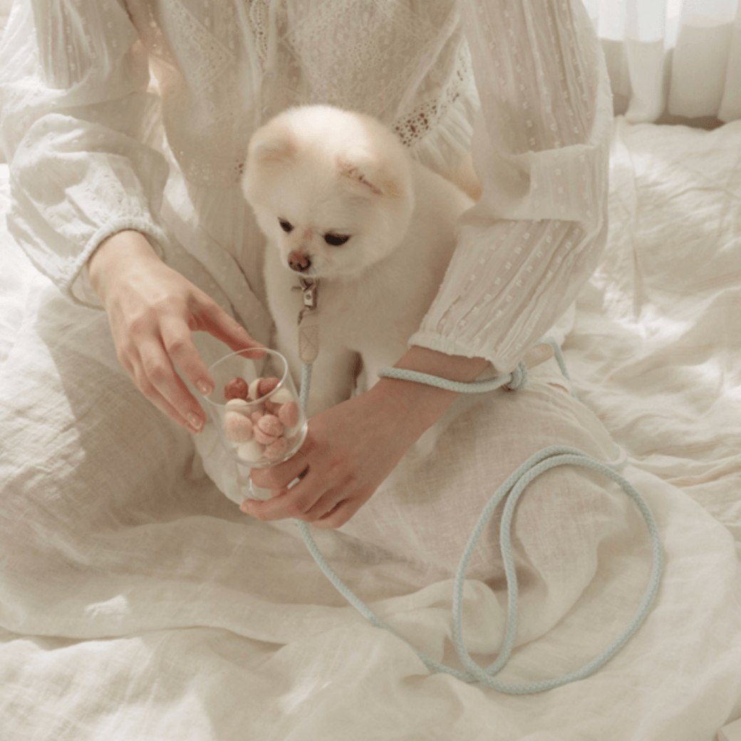 Rope Leash (Soda)
