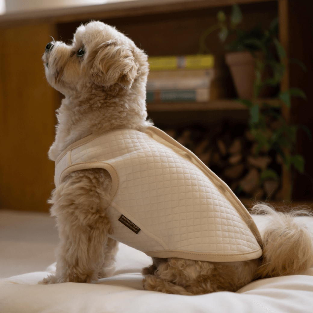 ORGANIC QUILTED VEST（ネーム刺繍可）