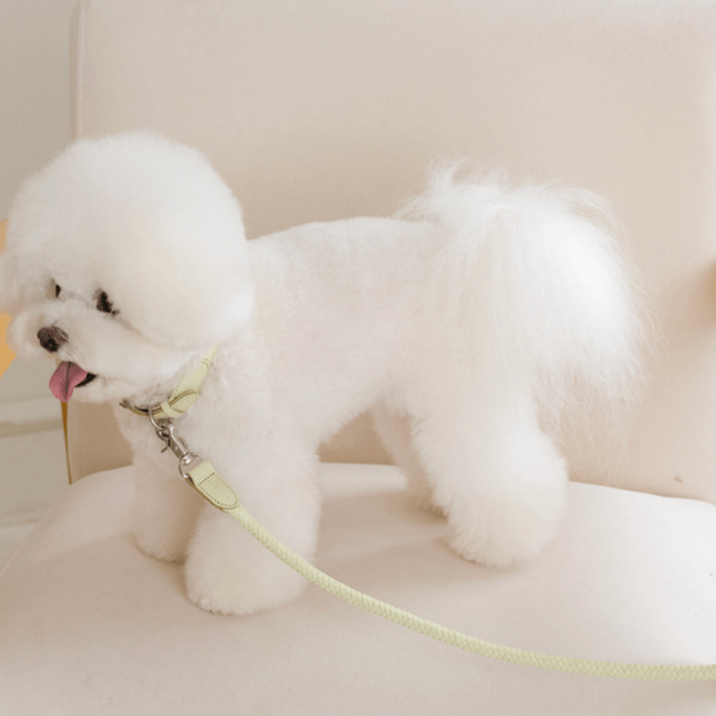Rope Leash (Pistachio)