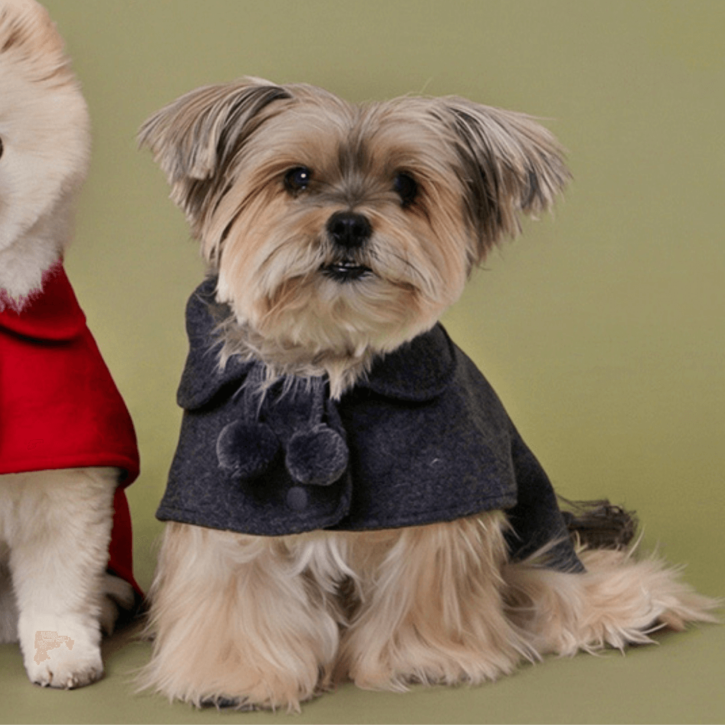 Reversible wool puppy pom-pom coat (Gray)