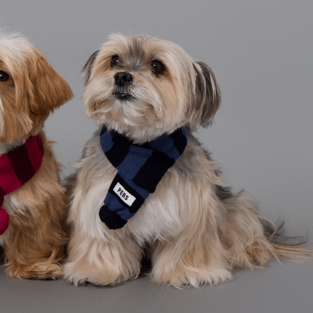 WOOL PUPPY POM-POM MUFFLER（NAVY）