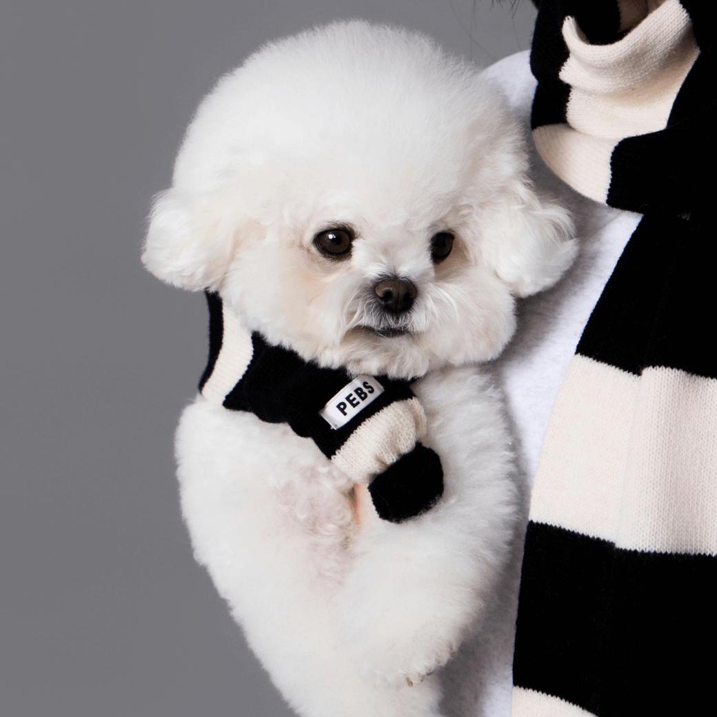 WOOL PUPPY POM-POM MUFFLER（BLACK&WHITE）