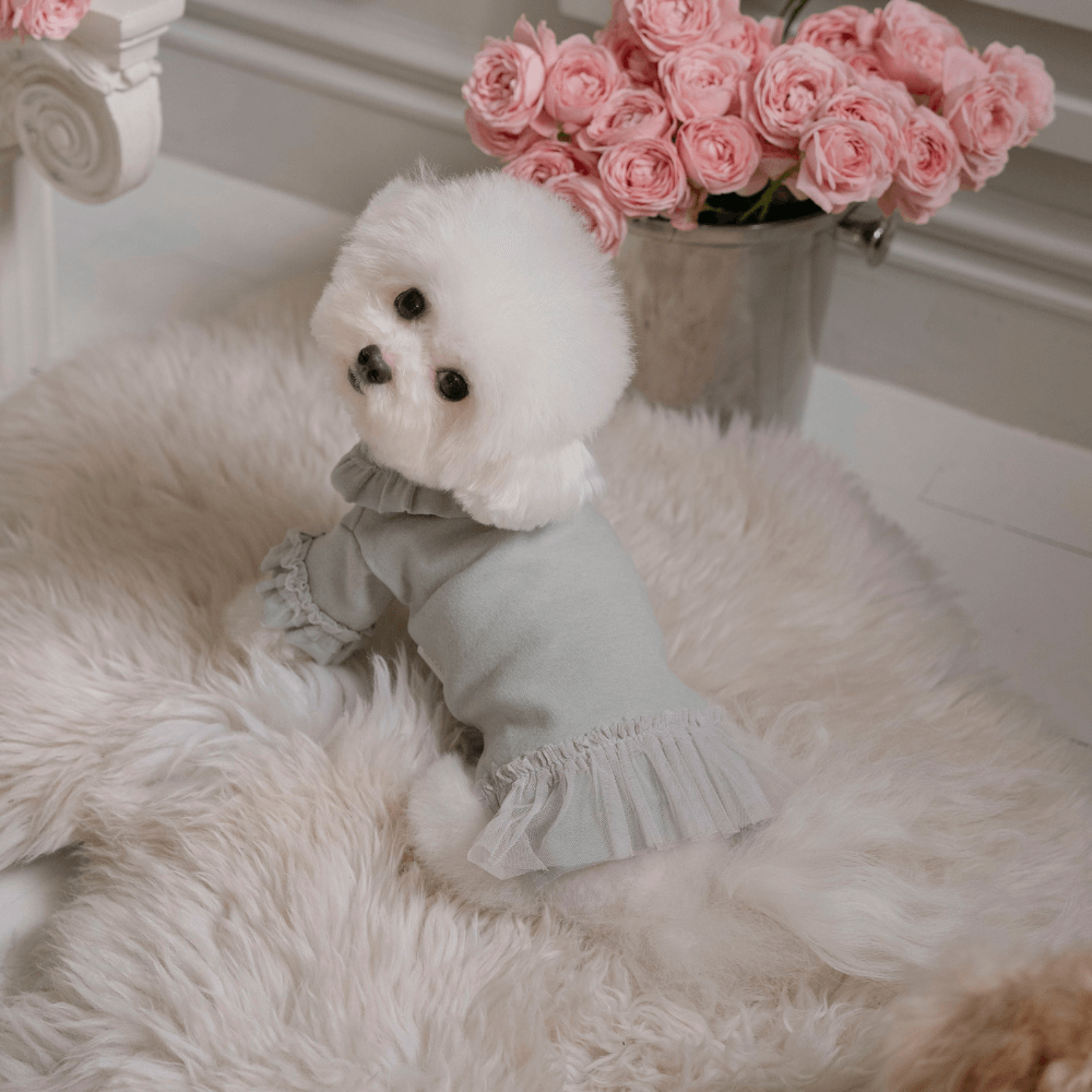 Plie Tu-Tu T-shirt（Mint）