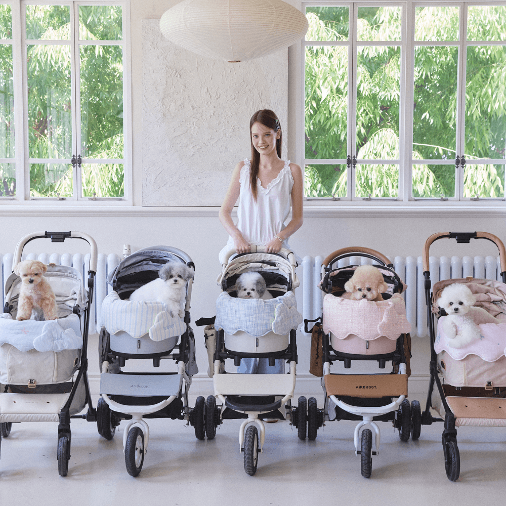 【5/12 21:00予約販売開始】Summer Tweed Buggy Guard（Blue）