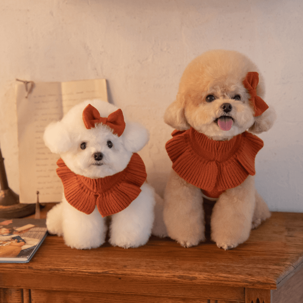 【MINIME別注】Frill Knit（Terracotta）