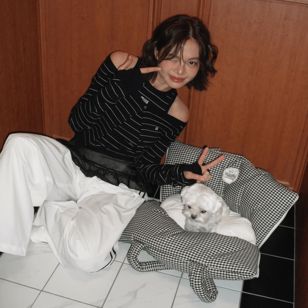 APERTY wide bag plaid black｜軽くて収納力のある2WAY犬用キャリーバッグ（ベッドにもなる）