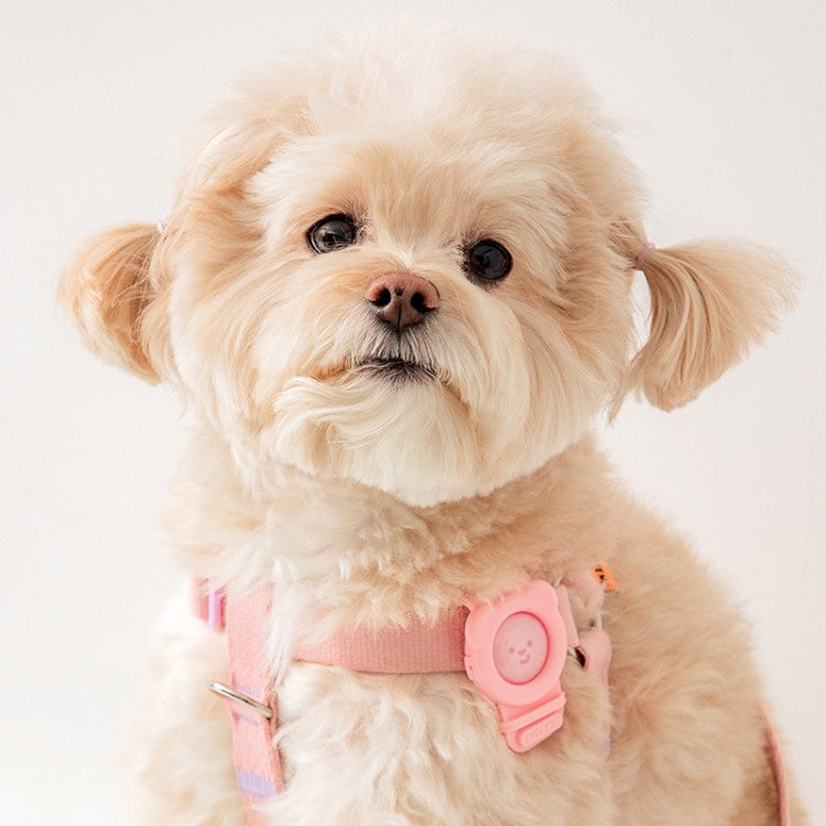 【美品】韓国犬服 Comely　AngelHarnes ＆ Lead　羽根つき アニマルクーリングエプロン S/M/L/XL Dulce-ドゥルチェ- 犬服