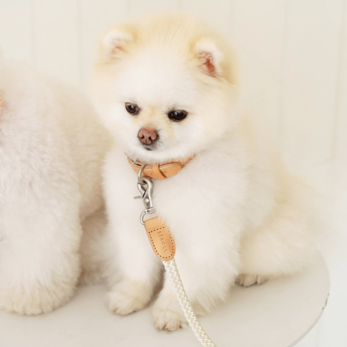 Rope Collar（オートミール）