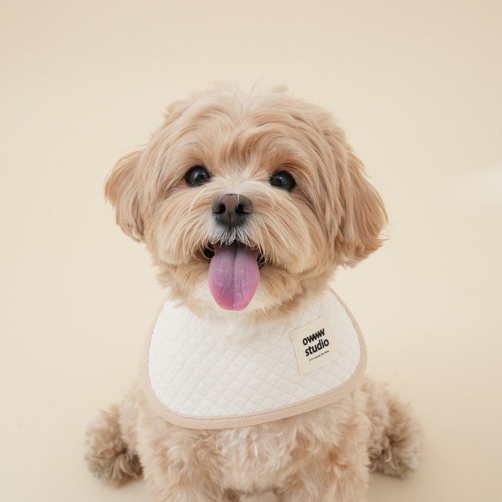 【予約】ORGANIC BIB（ネーム刺繍可）