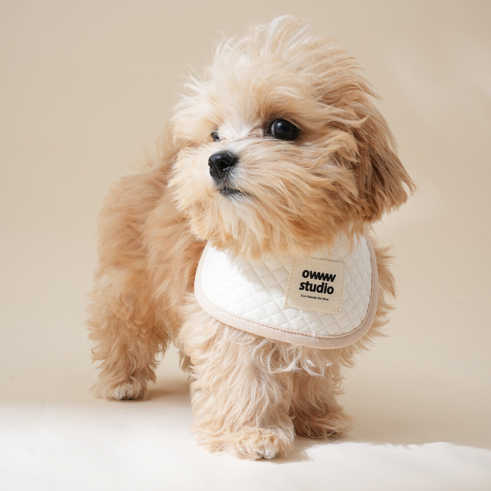 【予約】ORGANIC BIB（ネーム刺繍可）