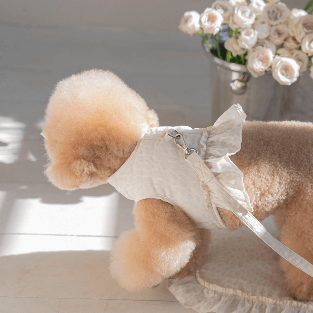 【予約】Leopard Pop Harness (white)