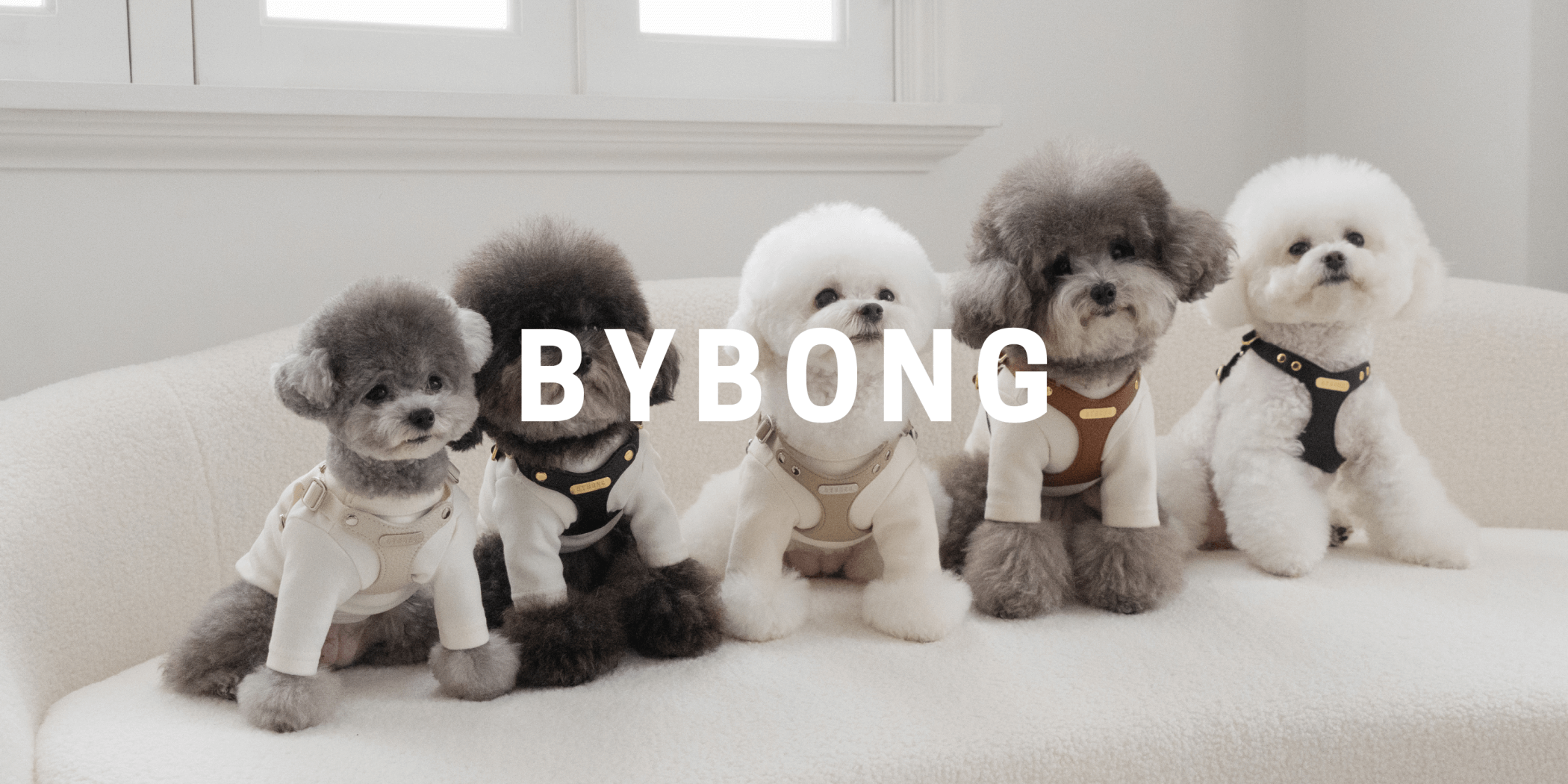 BYBONG DELIGHT HARNESS 小型犬 負担が少ない おしゃれ