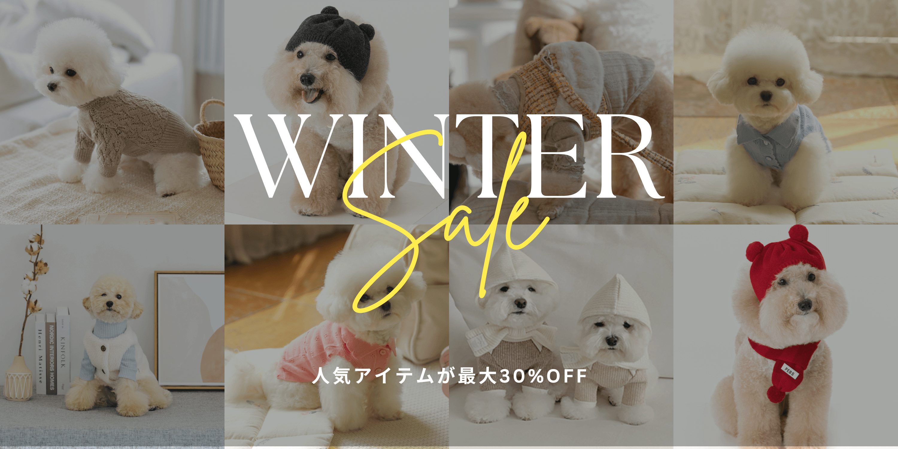 MINIME（ミニミー）｜韓国ドッグウェアのセレクトとオリジナルアイテム