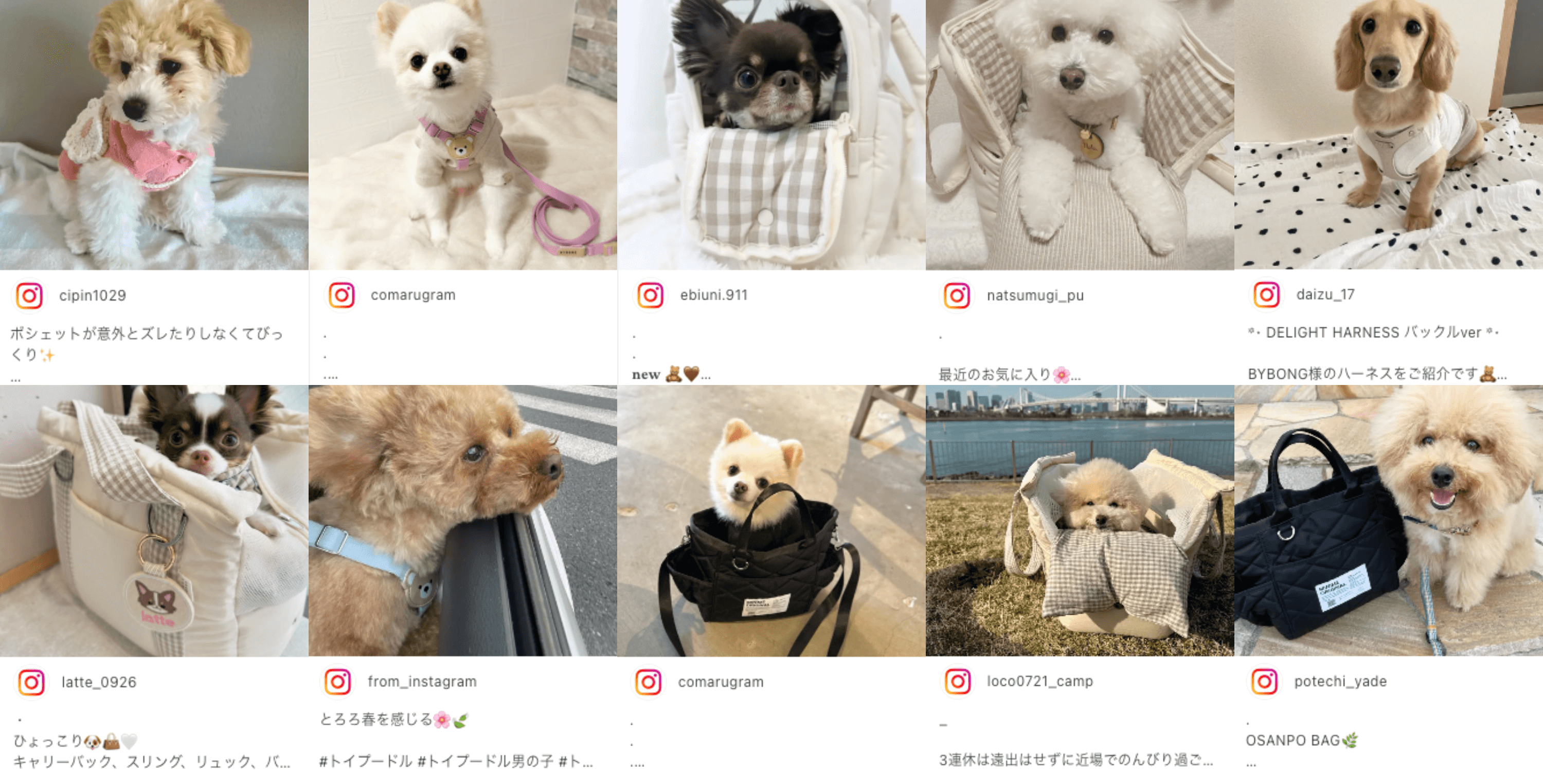 minime｜韓国犬服・ドッグウェア通販サイト