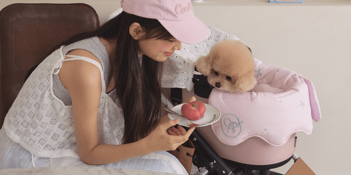 犬用バギーをもっとオシャレで快適に｜ペットカート対応アイテム一覧