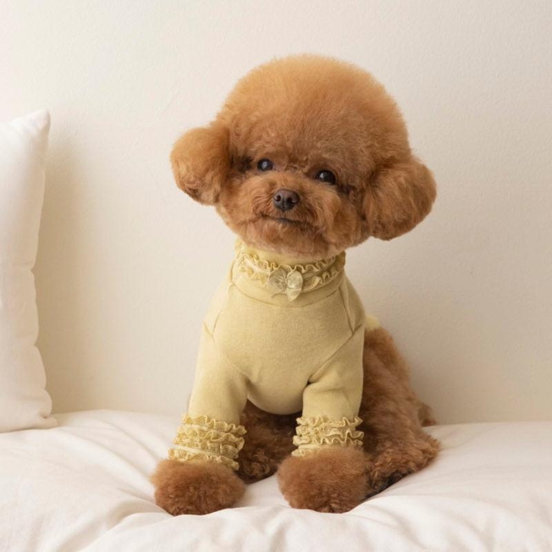 Lace Long Sleeve Turtleneck（Mustard）