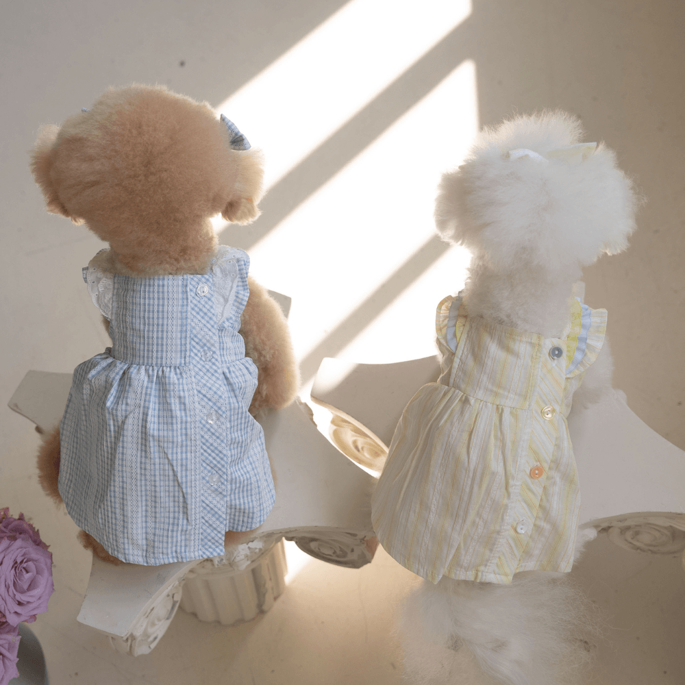 Sunkist Dress（Yellow）